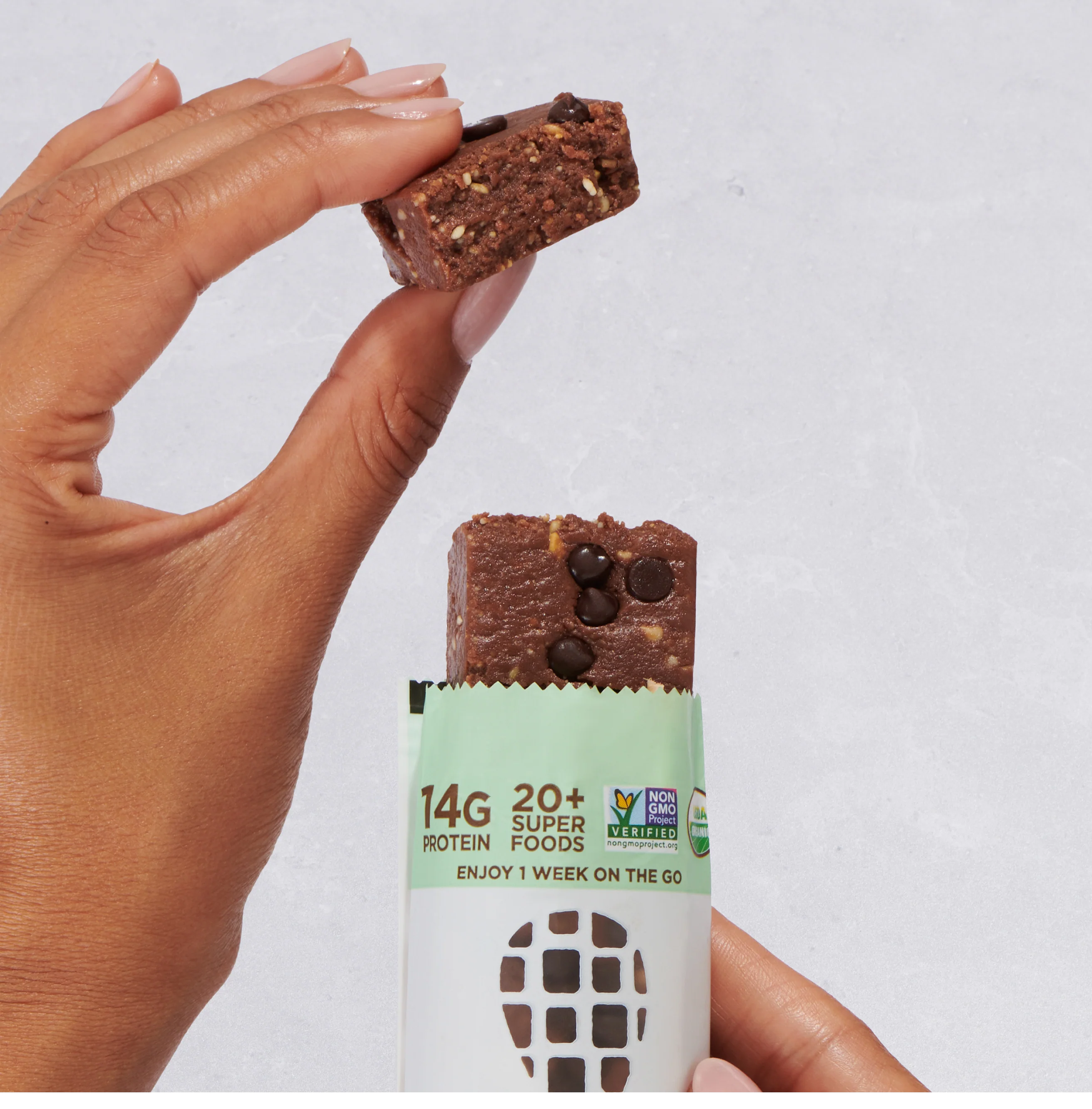 Chocolate Mint - Image 2